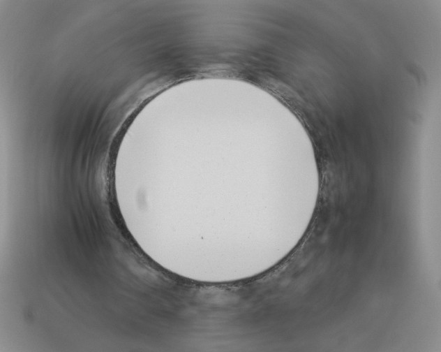 X0000112870290200910021338