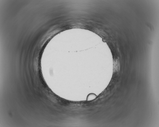 X0000112870291200910021338