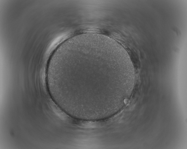 X0000112870293200910021338