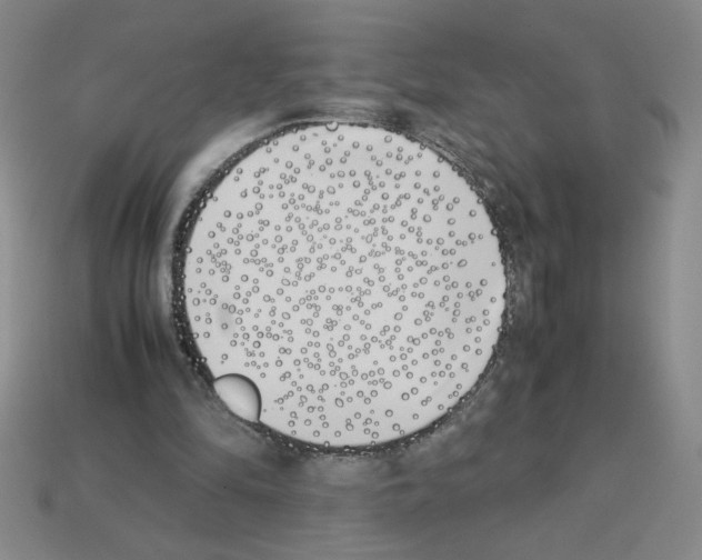 X0000112870294200910021338