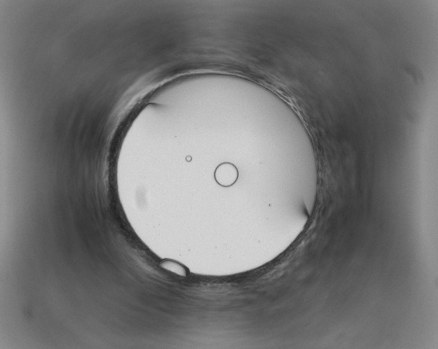 X0000112870296200910021338