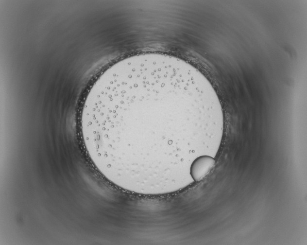 X0000112870298200910021338