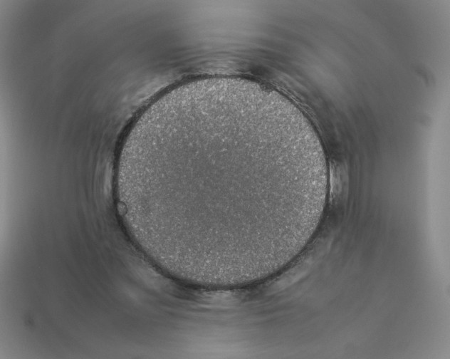 X0000112870301200910021338