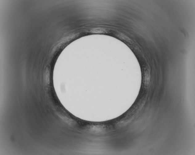 X0000112870303200910021338