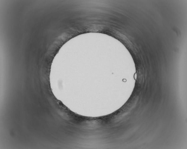 X0000112870307200910021338