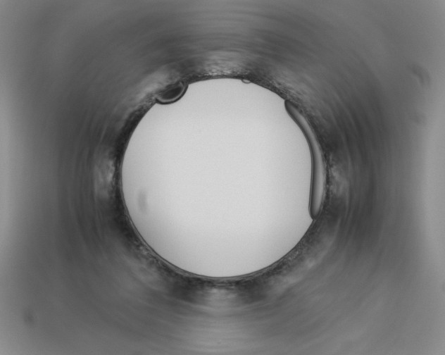 X0000112870308200910021338