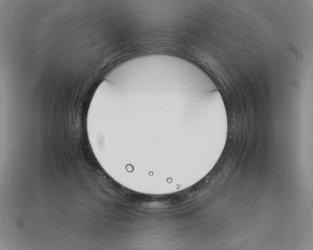 X0000112870312200910021338