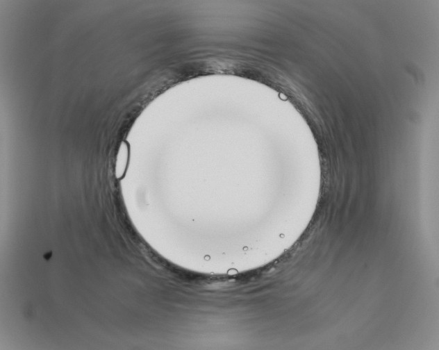 X0000112870313200910021338