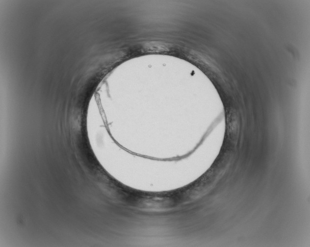 X0000112870315200910021338