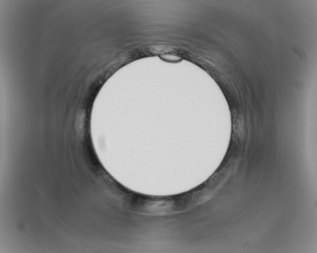 X0000112870319200910021338