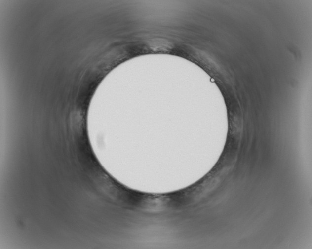 X0000112870321200910021338