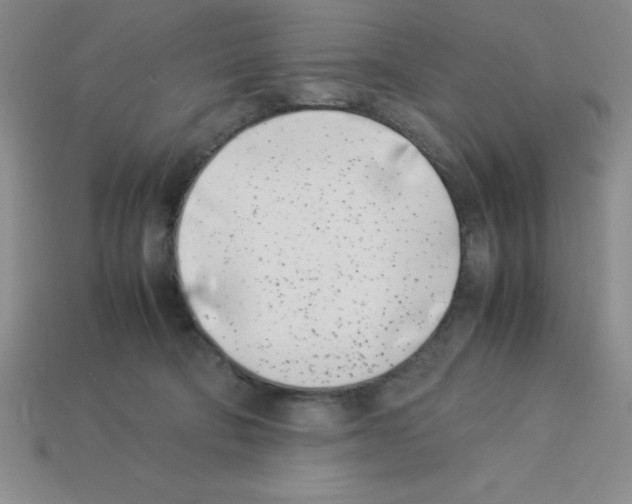 X0000112870322200910021338