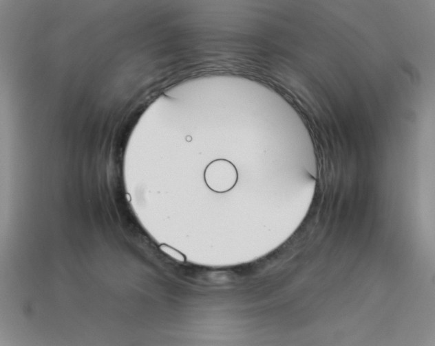 X0000112870324200910021338