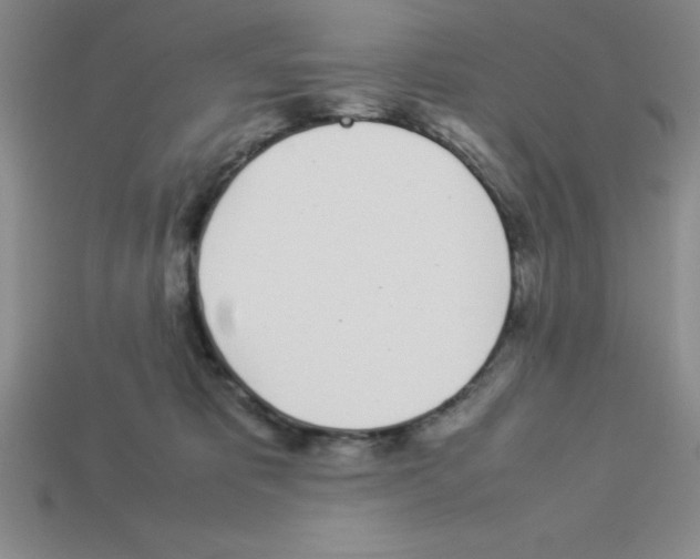 X0000112870325200910021338