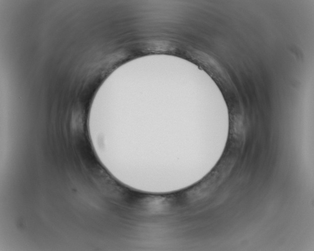 X0000112870326200910021338