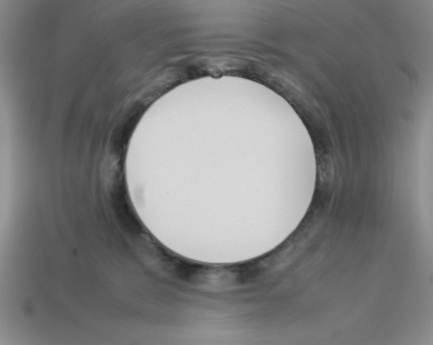 X0000112870327200910021338