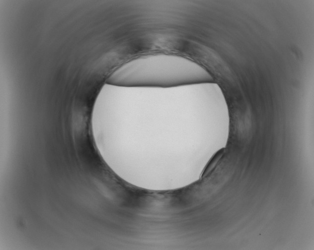 X0000112870328200910021338