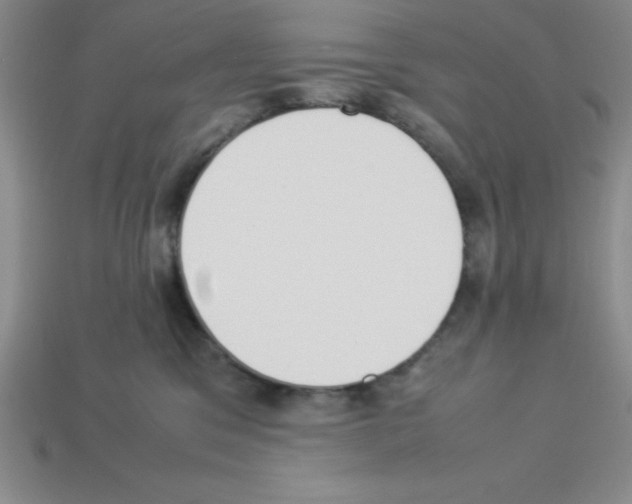 X0000112870329200910021338