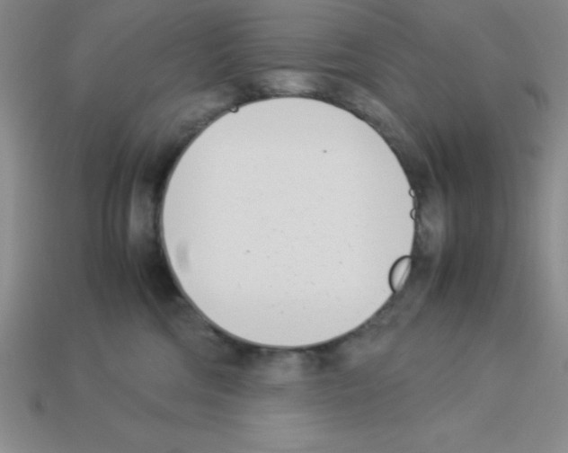 X0000112870330200910021338