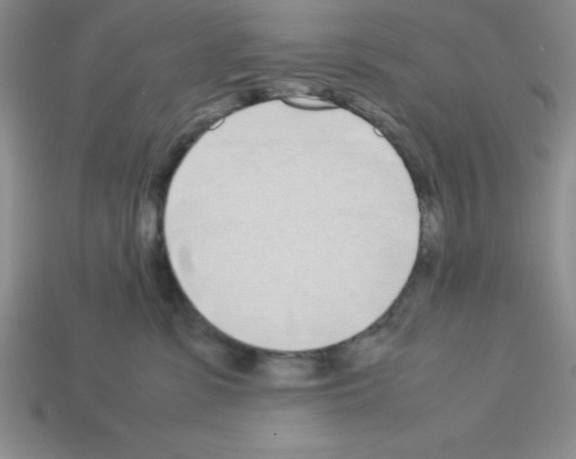 X0000112870331200910021338