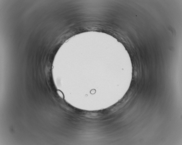 X0000112870332200910021338