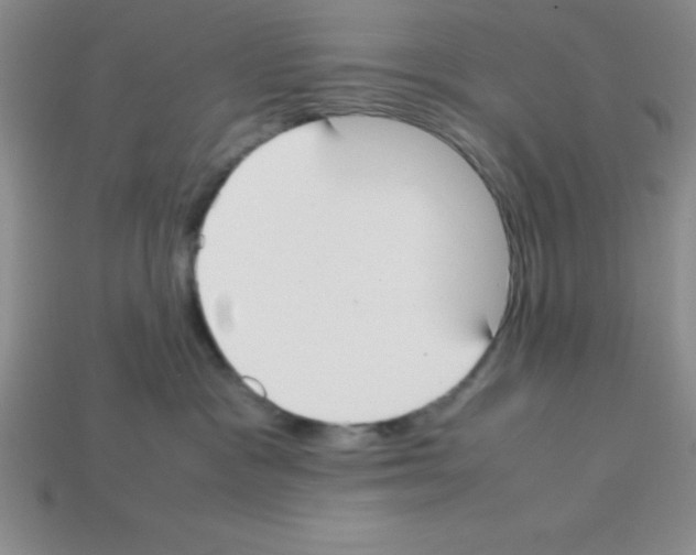 X0000112870333200910021338