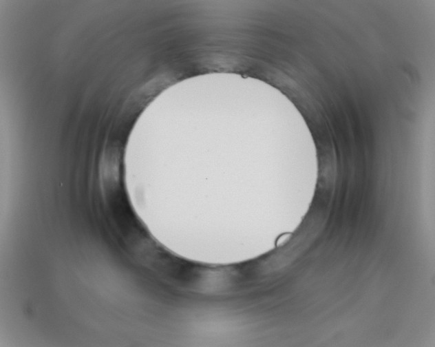 X0000112870334200910021338