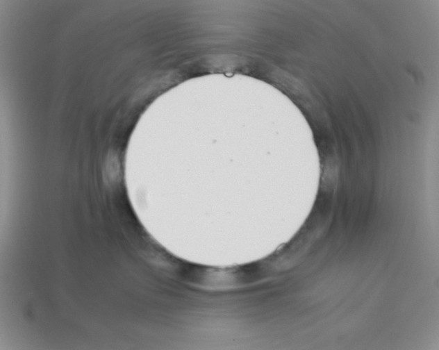 X0000112870335200910021338