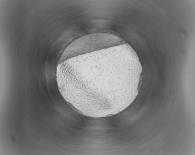 X0000112870336200910021338