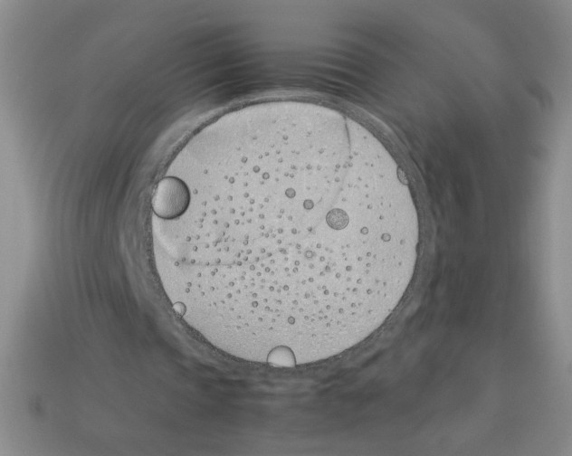 X0000112870337200910021337