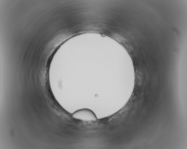 X0000112870338200910021337