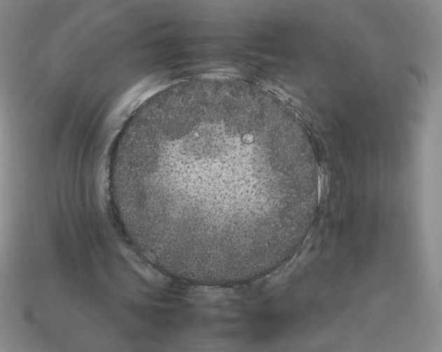 X0000112870339200910021337