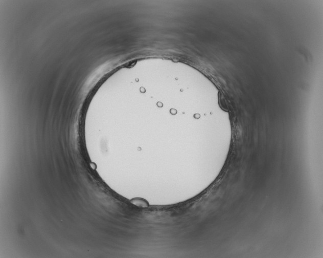 X0000112870340200910021337