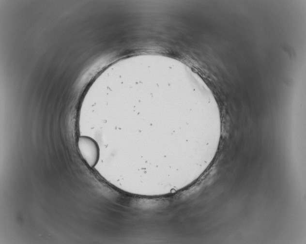 X0000112870341200910021337