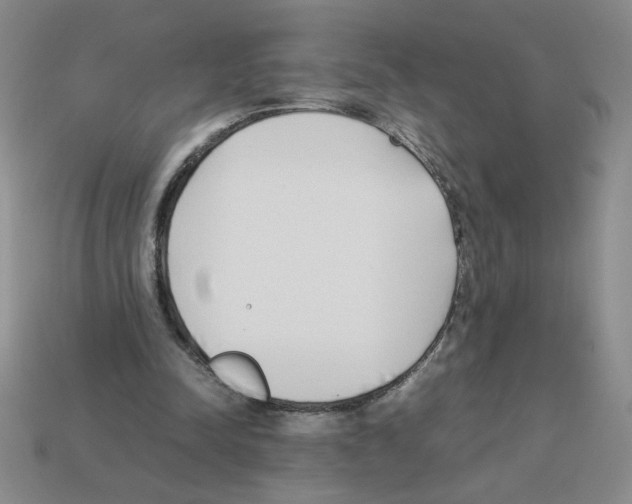 X0000112870342200910021337