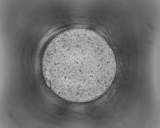 X0000112870343200910021337