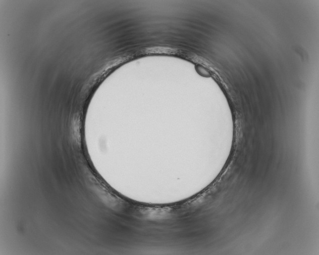 X0000112870345200910021337