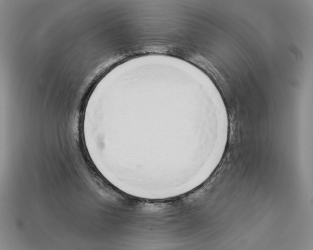 X0000112870346200910021337