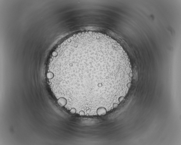 X0000112870347200910021337