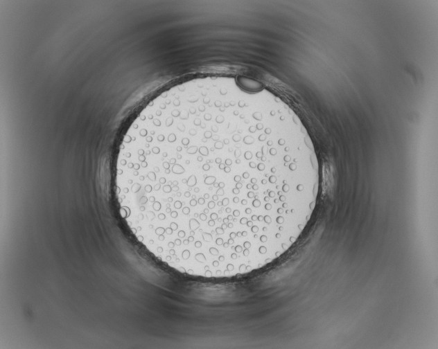 X0000112870349200910021337