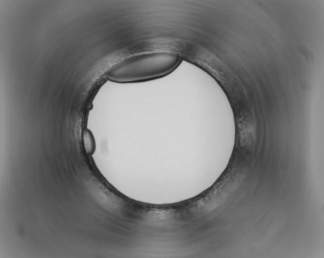 X0000112870350200910021337