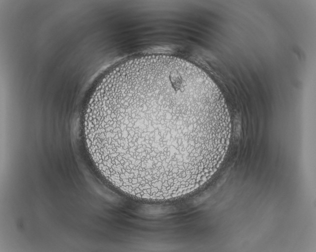 X0000112870351200910021337