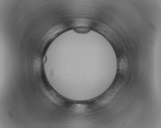 X0000112870352200910021337