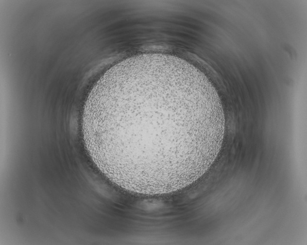 X0000112870353200910021337