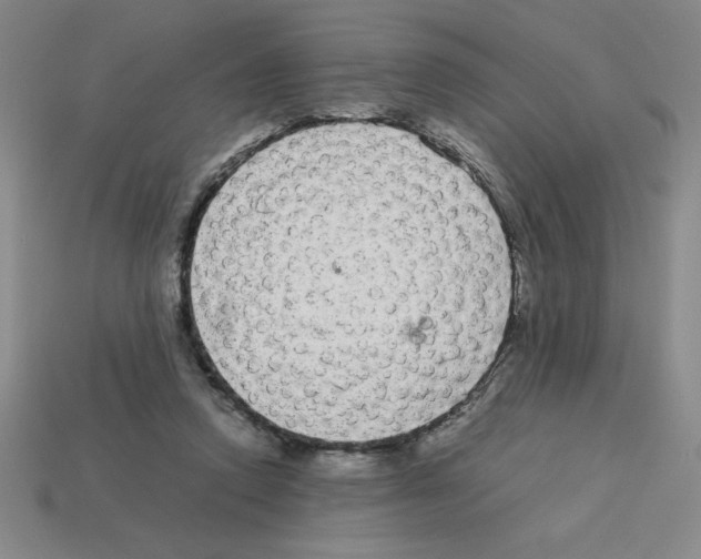 X0000112870354200910021337