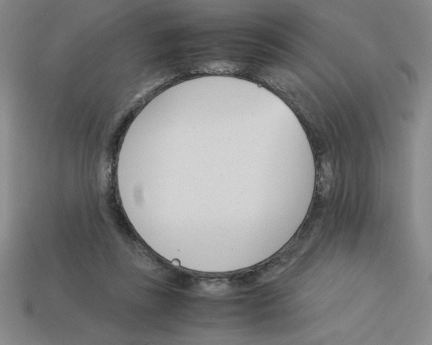 X0000112870355200910021337