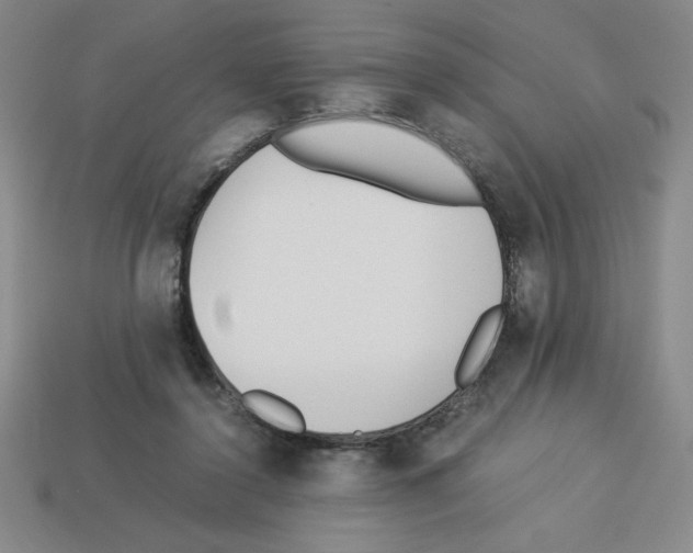 X0000112870356200910021337