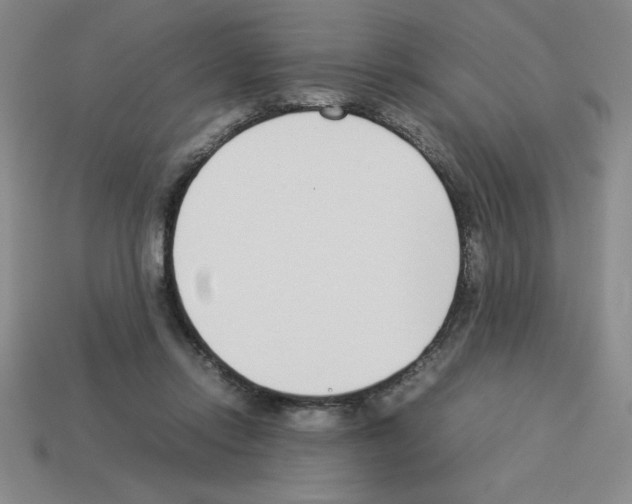 X0000112870358200910021337