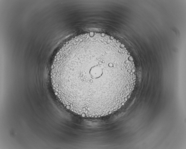 X0000112870359200910021337