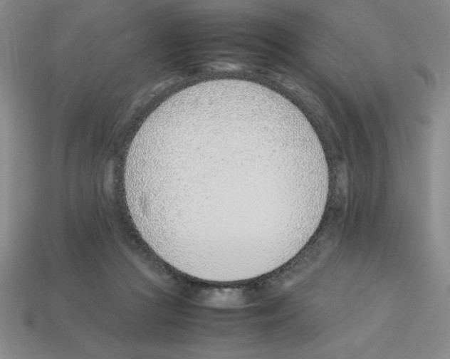 X0000112870361200910021337